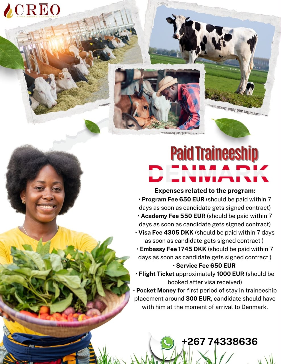 Crēo flyer: Paid Traineeship Denmark — expenses related to the program